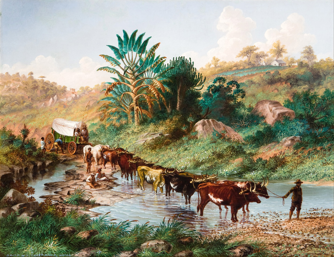 wagon crossing a drift natal